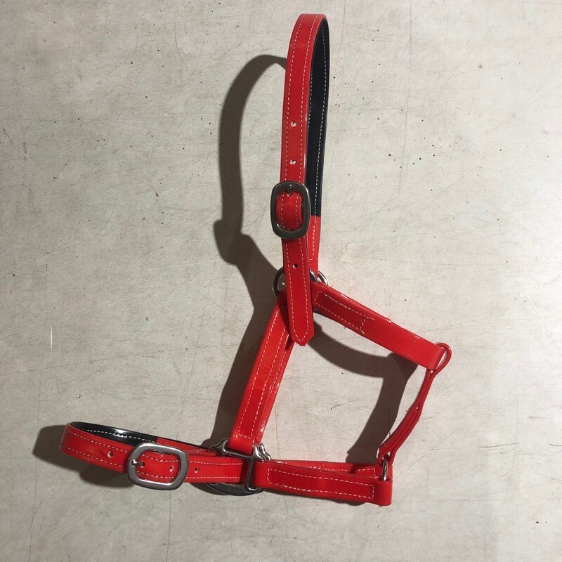 PVC Halter Cob
