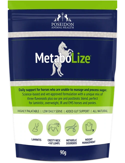 MetaboLize