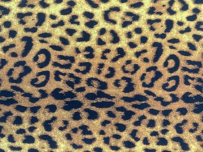 Skinny Hood (Small Pony)