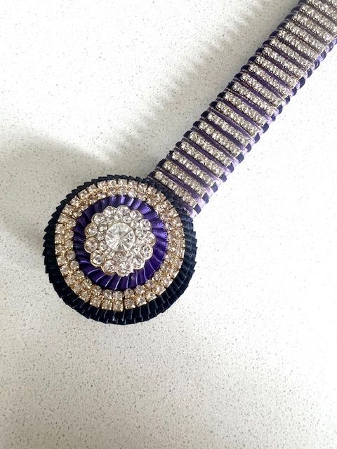 Salt Ash Pony Club Browband