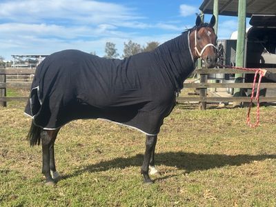 Towelling Rugs/Combos