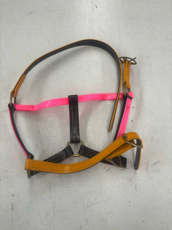 PVC Halter -Full Sized