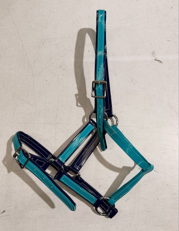HVGS Halter &amp; Lead Set