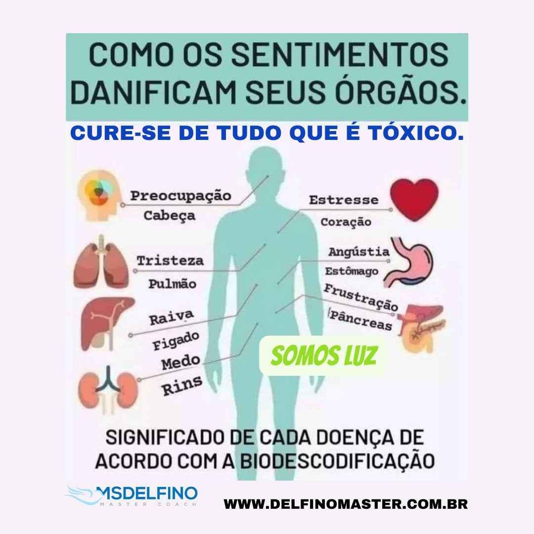 COMBO AURICULOTERAPIA e outras Terapias Holísticas