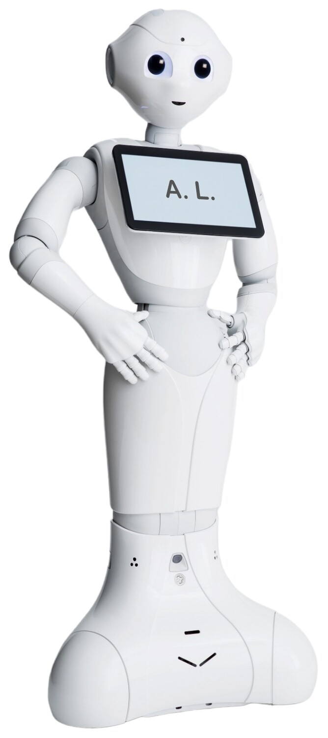 Pepper Ai Robot with customization