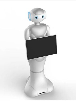 Pepe ChatGPT Service Super Robot