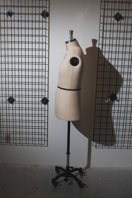 HALF BODY MALE TORSO