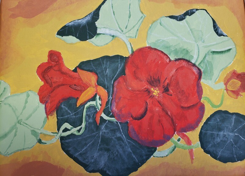 Nasturtium