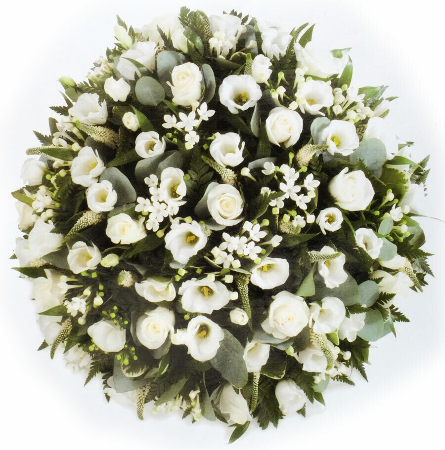 White Posy