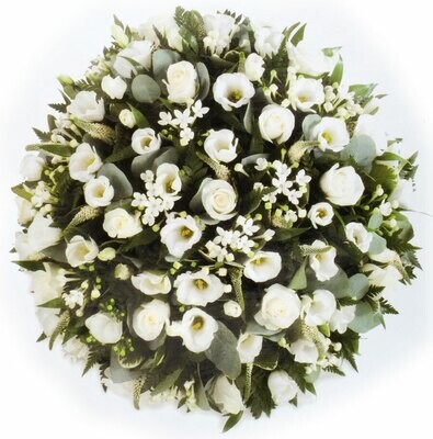 White Posy
