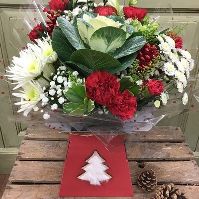 Oh Christmas Tree Oh Christmas Tree