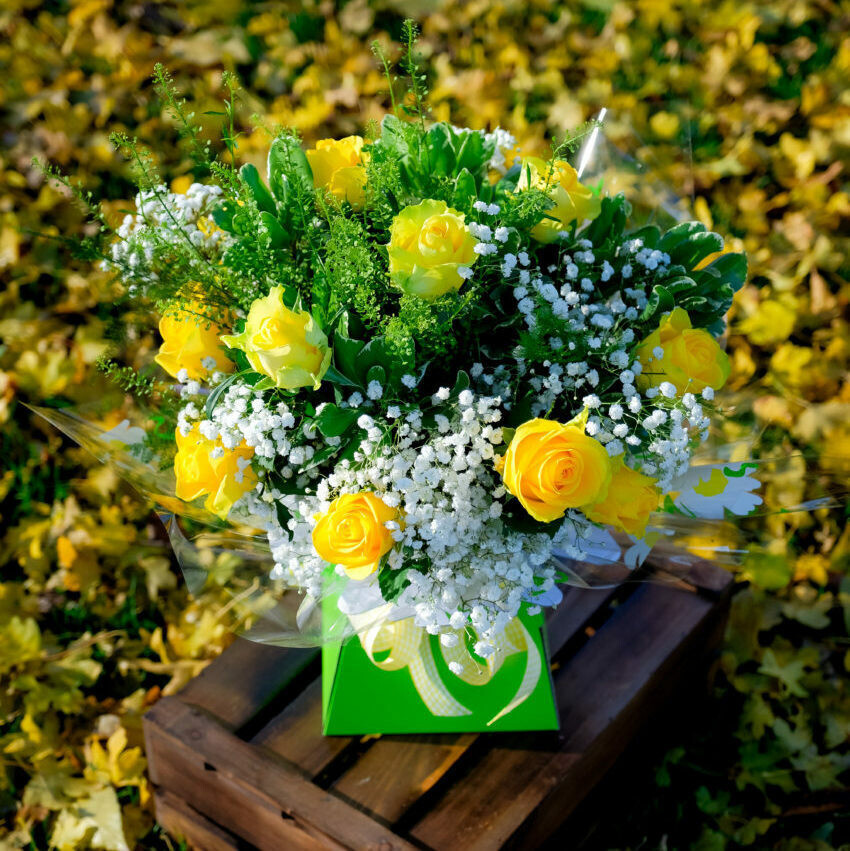 Lemon Lush