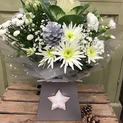 Twinkle Twinkle Little Star Twinkle Twinkle Little Star