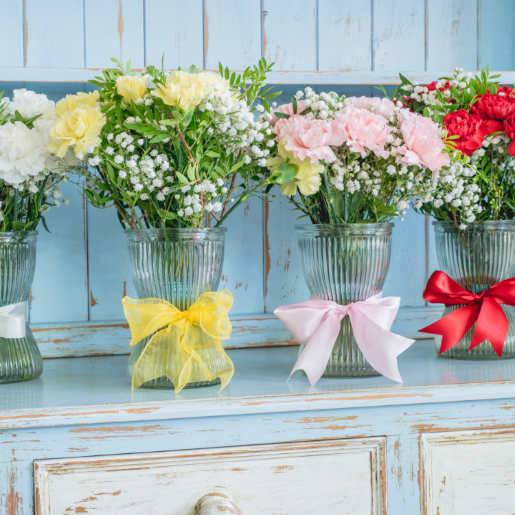 Carnations Carnations