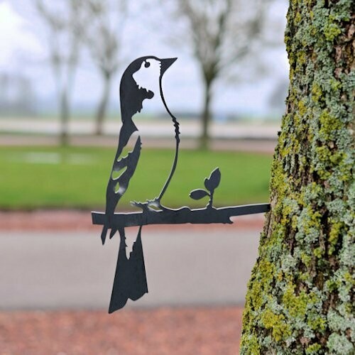 Vink
