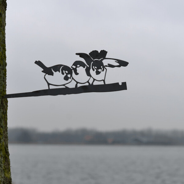 Huismus trio #4