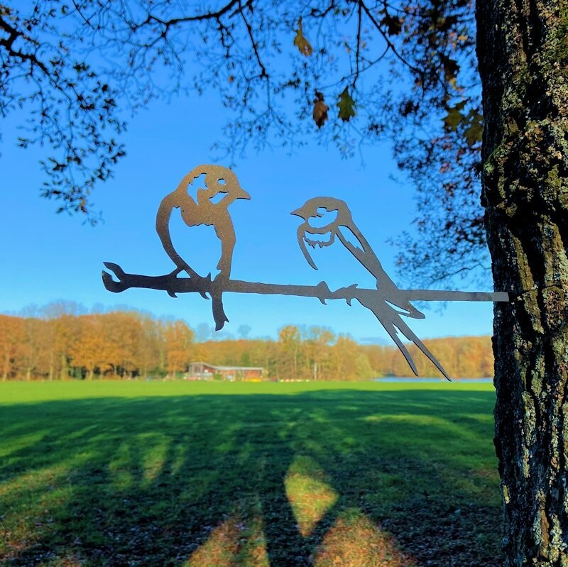 Roodborst stelletje