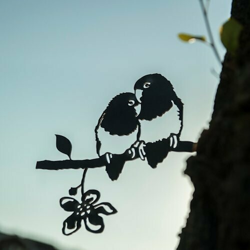 Lovebird Agapornis (dwergpapagaai) Lovebird Agapornis (dwergpapagaai)