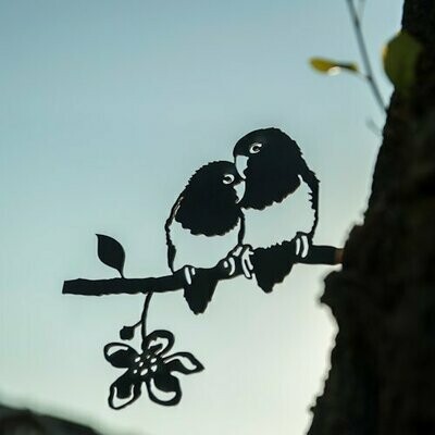 Lovebird Agapornis (dwergpapagaai)