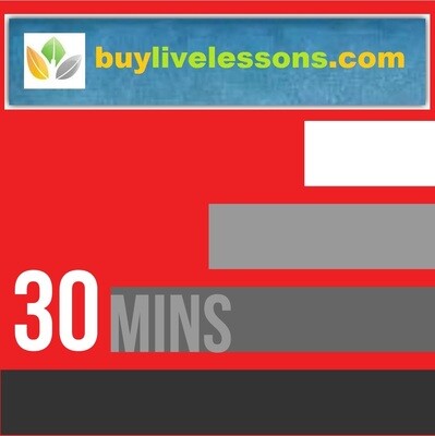 BUY BUSINESS LIVE LESSONS FOR 30 MINUTES EACH
