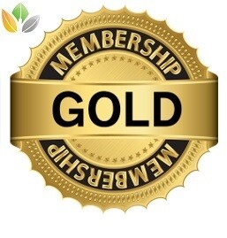 TransPerfect Club - Gold