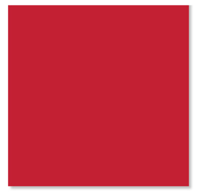 20pk Red Napkins