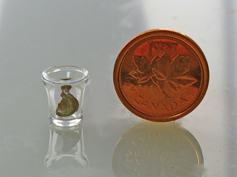 False Teeth in a Glass
