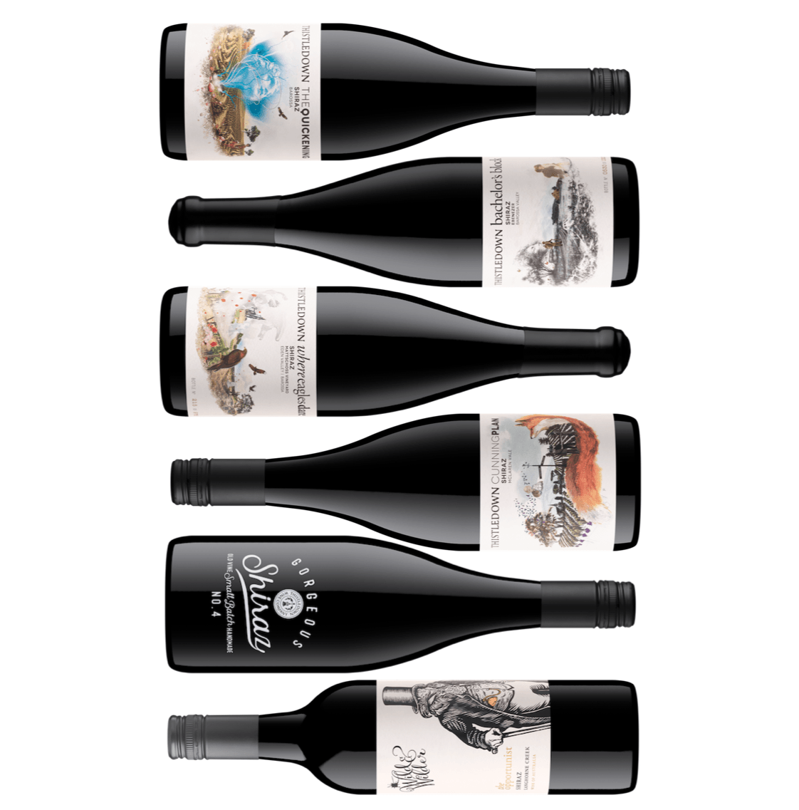 X-FACTOR SHIRAZ 6pack (FREE SHIPPING)