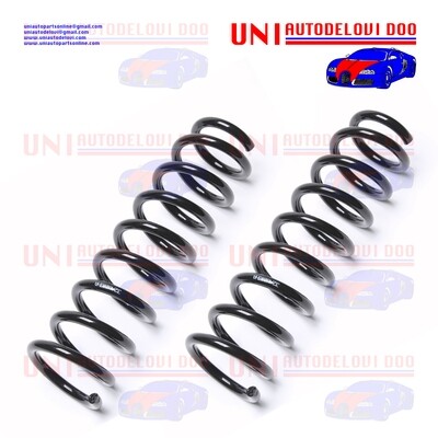 2 Molle Posteriori Rinforzate / Normali Audi A4 (8D2, B5) / A4 Avant (8D5, B5)