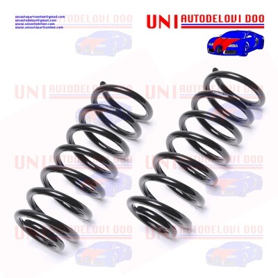 2 Molle Posteriori Rinforzate / Normali Audi 100 Avant (4A, C4) dal 1991