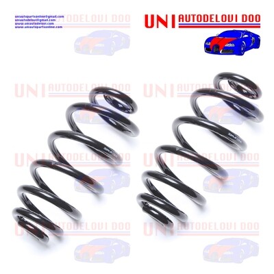 2 Molle Posteriori Rinforzate / Normali Audi A4 (8E2, B6, 8EC, B7)