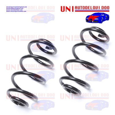 2 Molle Posteriori Rinforzate / Normali Audi A6 (4B, C5) / VW Passat (3B2, 3B3) / Variant (3B6)