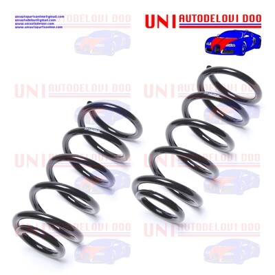 2 Molle Posteriori Rinforzate / Normali Audi A6 (4B, C5) / A6 Avant (4B, C5) / VW Passat (3B2) / Variant (3B5)