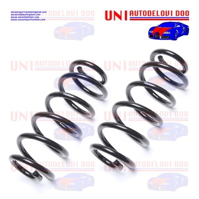 2 Molle Anteriori Rinforzate / Normali Audi A6 (4B, C5) / A6 Avant (4B, C5) / VW Passat (3B2, 3B3) / Passat Variant (3B5)