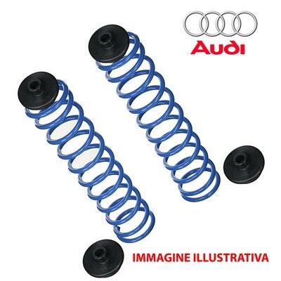Kit 2 Molle Posteriori Rinforzate Aggiuntive da carico AUDI A4 AVANT - A5 - Q5 - A6