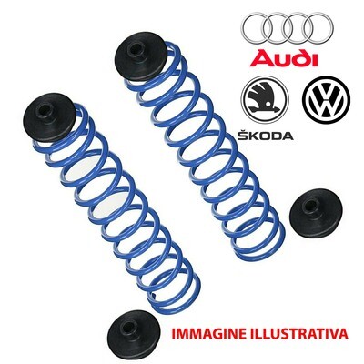 Kit 2 Molle Posteriori Rinforzate Aggiuntive da carico AUDI  4B - SKODA I-3U4 - VW - PASAT VARIANT