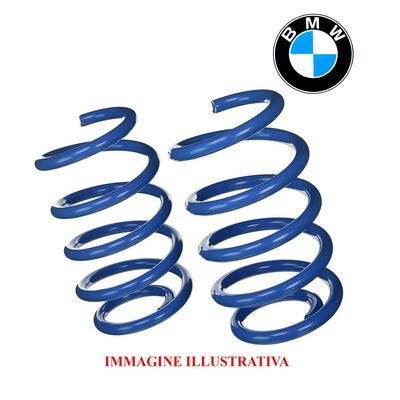 Kit 2 Molle Posteriori Rinforzate Sostitutive da carico BMW 1 / 3  E81- E82- E87- E90- E91- E92- F30-  F31