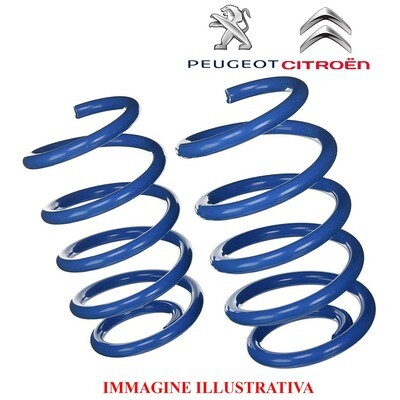 Kit 2 Molle Posteriori Rinforzate Sostitutive da carico CITROEN C2 - C3 - PEUGEOT 1007