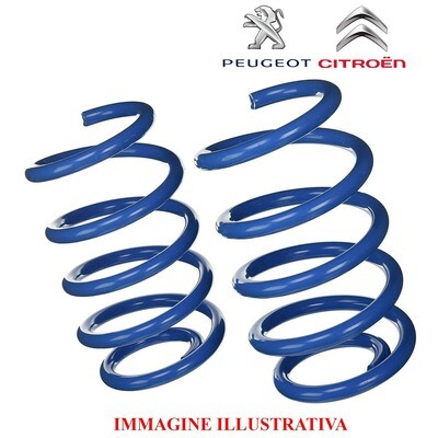 Kit 2 Molle Posteriori Rinforzate Sostitutive da carico CITROEN C3 - PEUGEOT 207