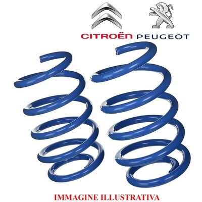 Kit 2 Molle Posteriori Rinforzate Sostitutive da carico CITROEN GRAND PICASSO C4 U - PEUGEOT 5008