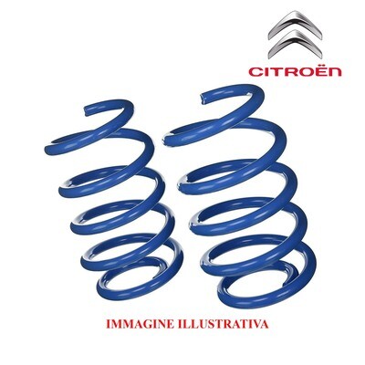 Kit 2 Molle Posteriori Rinforzate Sostitutive da carico CITROEN C5 TOURER dal 04/2008