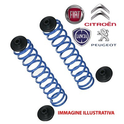 Kit 2 Molle Posteriori Rinforzate Aggiuntive da carico CITROEN C8 - FIAT - LANCIA - PEUGEOT EXPERT