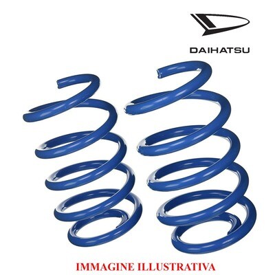 Kit 2 Molle Posteriori Rinforzate Sostitutive da carico DAIHATSU TERIOS J102 dal 1997