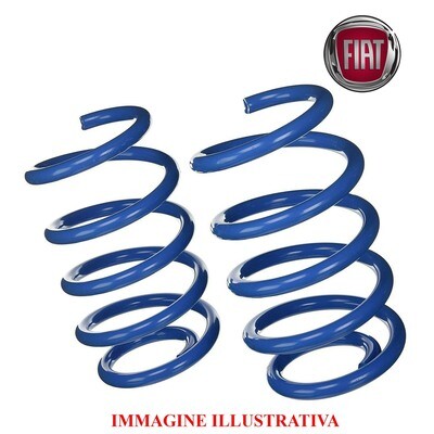 Kit 2 Molle Posteriori Rinforzate Sostitutive da carico FIAT PANDA (169) - FIAT 500