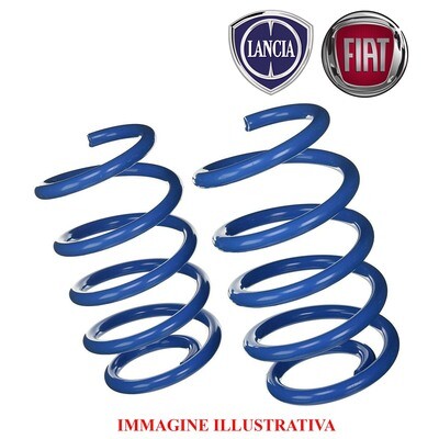 Kit 2 Molle Posteriori Sostitutive Rinforzate da carico FIAT PANDA - LANCIA YPSILON