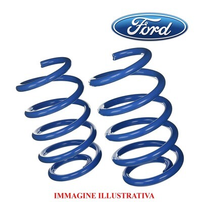 Kit 2 Molle Posteriori Sostitutive Rinforzate da carico FORD TRANSIT COURIER - ECO SPORT