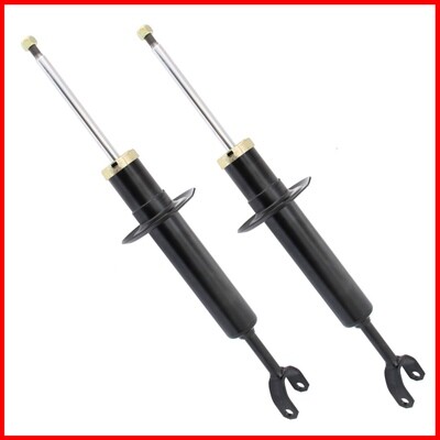 2 Ammortizzatori Rinforzati Chevrolet Citroen