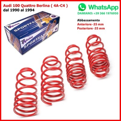 4 Molle Sportive Audi 80 + 90 Quattro 81 85 B2