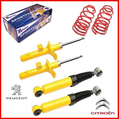 Sportski Amortizeri + 4 federa Citroen ZX N2 od 1991 do 1999