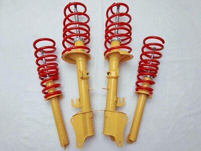 Assetto Ribassato Sportivo Peugeot Skoda VW Assetto Ribassato Sportivo Peugeot Skoda VW